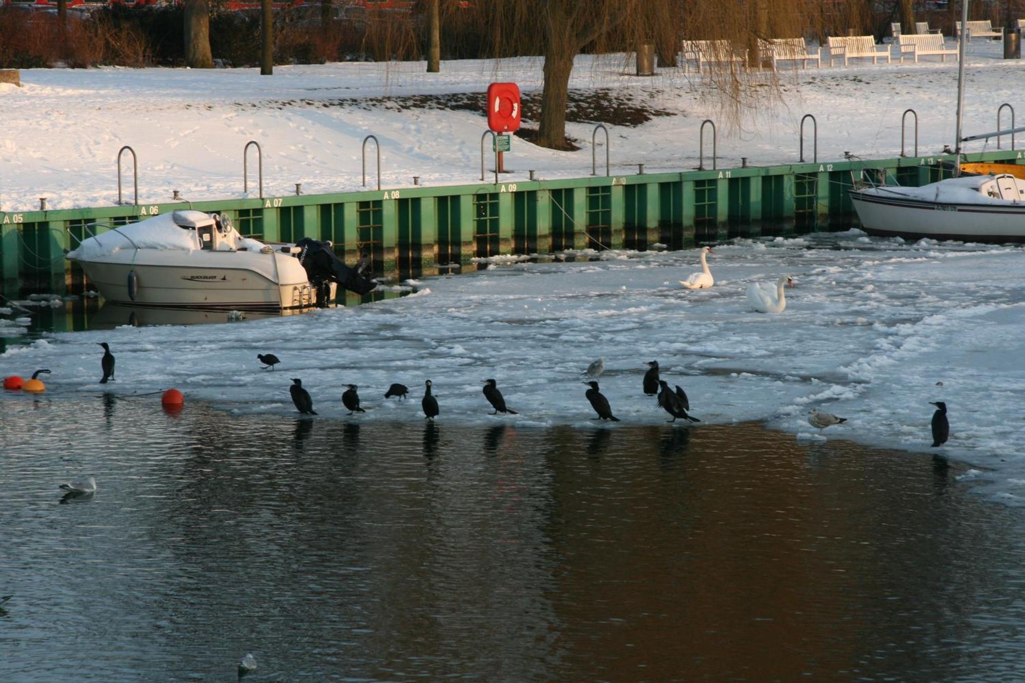 Gasthof Haus Nordstern Warnemünde 3*
